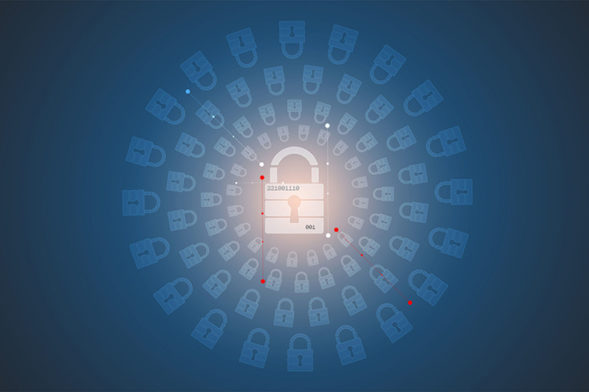 Cyber Security Training - Contigo