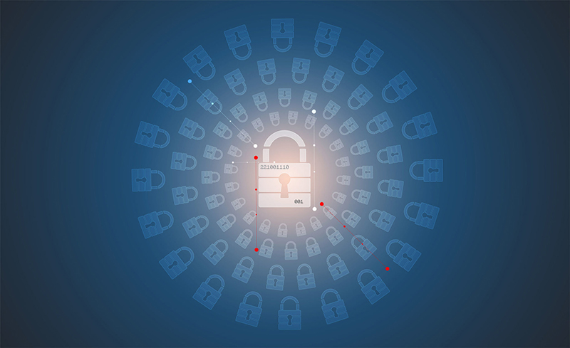 Cyber Security Training - Contigo