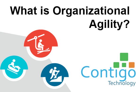 What is Organizational Agility graphic